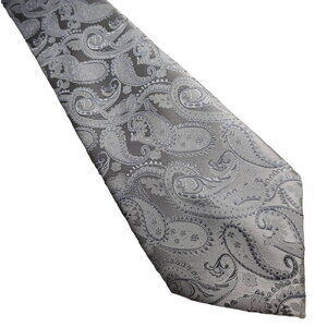 Angelo Rossi silver paisley microfiber tie - 61"